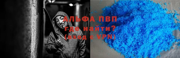 молекула духа Новозыбков