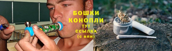 ALPHA PVP Себеж