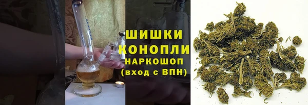 тгк Новодвинск