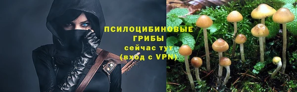 тгк Новодвинск