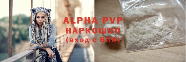молекула духа Новозыбков