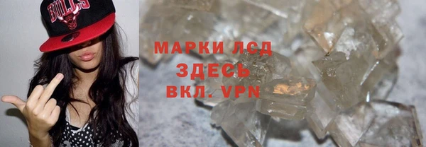 молекула духа Новозыбков