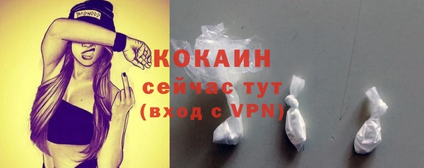 молекула духа Новозыбков