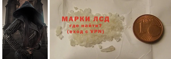 молекула духа Новозыбков