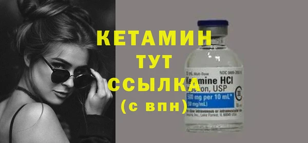 молекула духа Новозыбков