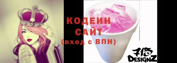 молекула духа Новозыбков