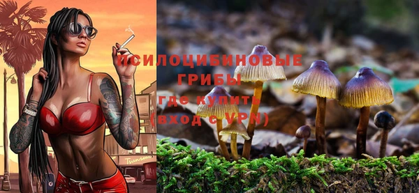 тгк Новодвинск
