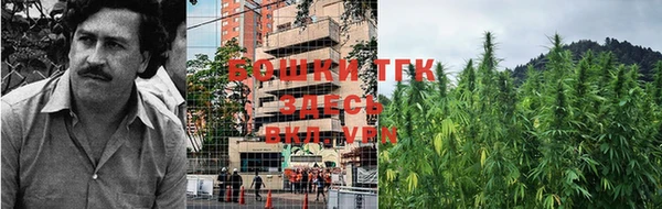 тгк Новодвинск