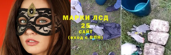 молекула духа Новозыбков