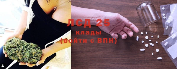 молекула духа Новозыбков