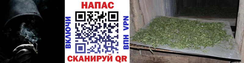 Каннабис Ganja  как найти закладки  Калининец 